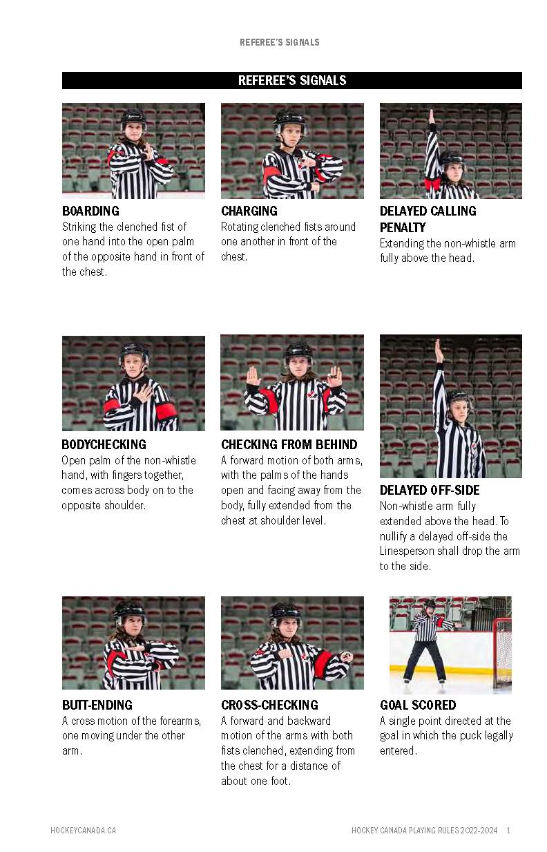 Lake Cowichan District Minor Hockey Association Home Of The LAKERS lake-cowichan-district-minor-hockey-association-home-of-the-lakers